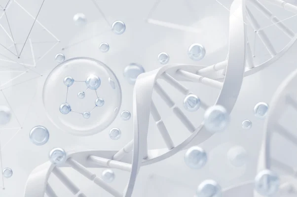 Pyrroloquinoline Quinone (PQQ): A Powerful Mitochondrial Support Ingredient